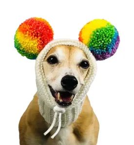 Bright Rainbow Pompom Hat