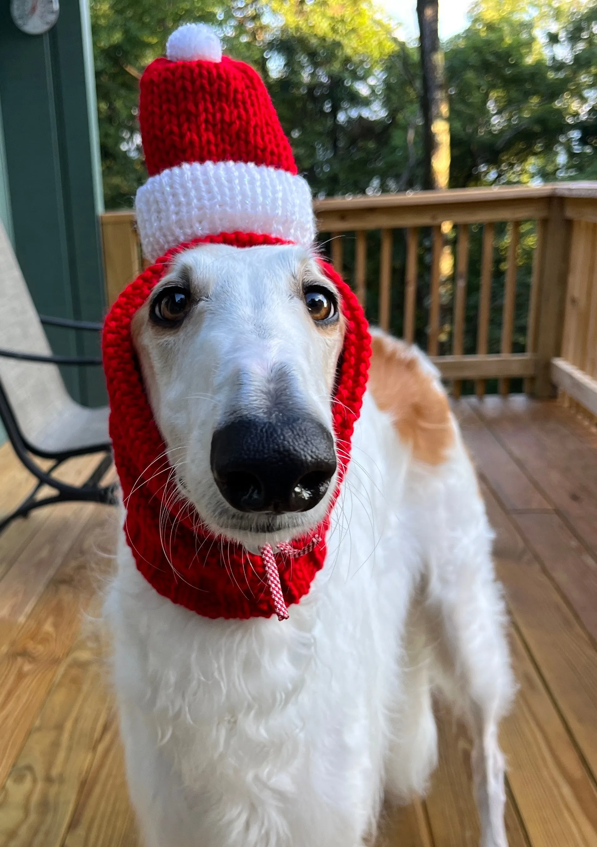 Knitted Santa Hat