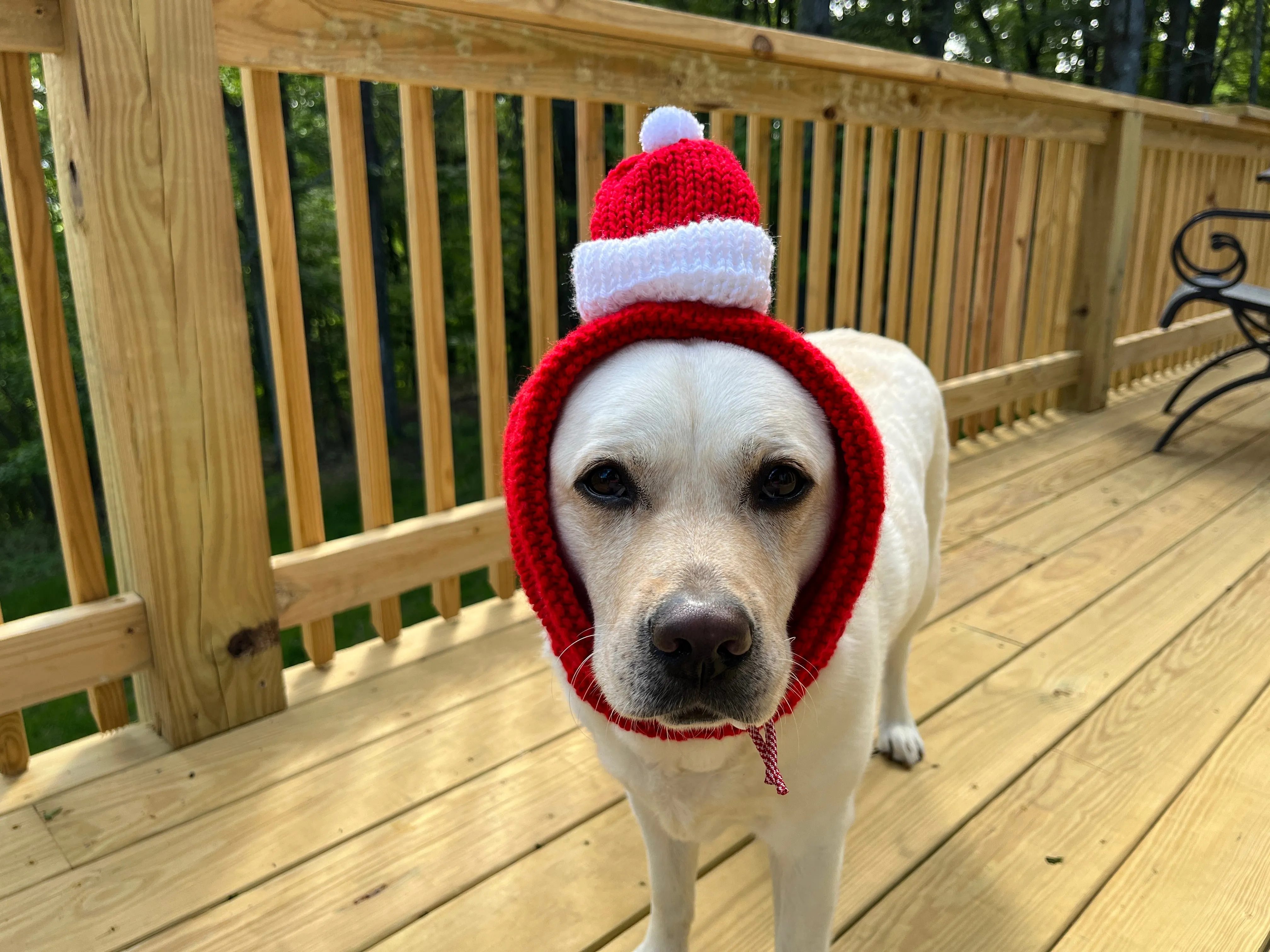 Knitted Santa Hat