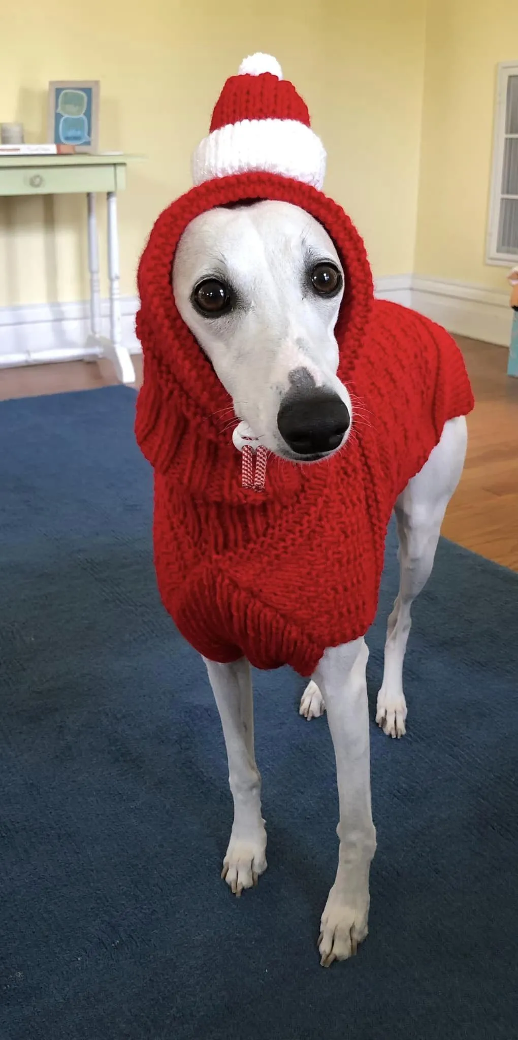 Knitted Santa Hat